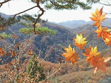 湘西房价走势揭秘，最新消息、影响因素与前景展望